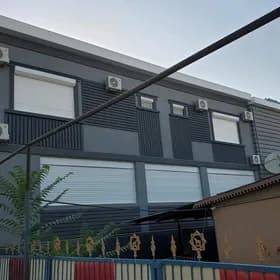 Gala panjur Türkmenistan