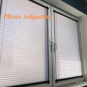 Jalýuz zalyuz jalyuz žalýuz