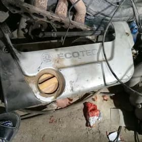 Galofka opel wita