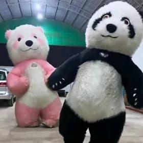 mishka miska panda мишка