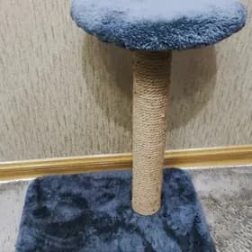 когтеточка