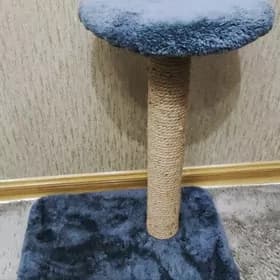 Для Кошек