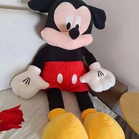Miska Mikki Mouse😺