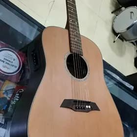 El.akustik gitara