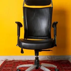 Ofis kreslo.Koza kreslo