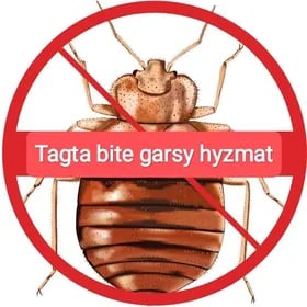 TAGTA BITE derman