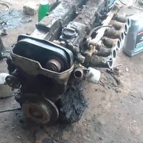 mark motor