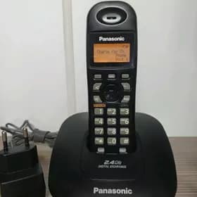 Panasonic