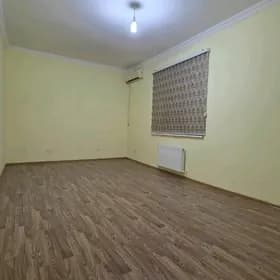 ПОДВАЛ 220 М2. МИР 2