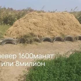 Клевер оригинал