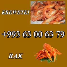 RAK KREWETKI