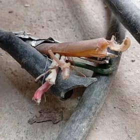 tok sim kabel