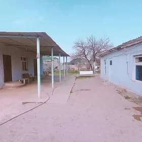 bagyr