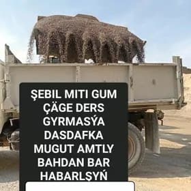 ŞEBIL MITI PULPA SEMENT KERPIÇ HALTALY SEMENT MITI GUM ДЕРС MYTY KERPIÇ GRAWY CAGE TOPRAK NALOWKA ELENEN MITI SEBIL KERAMSIT