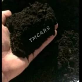 навоз арасса ders