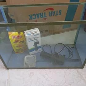 Akwarum
