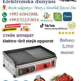 Elektro-Gril