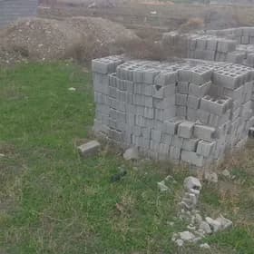 mellek kelejar