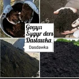 ELENEN DERS GUM MITI AK SEMENT