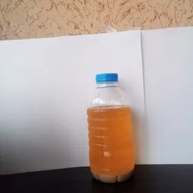 kunji yagy