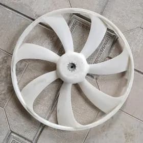 fan