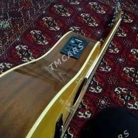 gitara samic