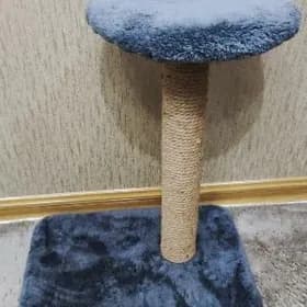 Pişik uçin