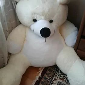 Aýy