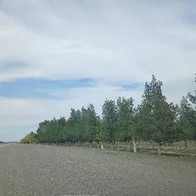 önümçülik üçin ýer