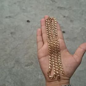 kopya gyzyl yaly kardinal