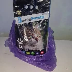 Pişigiñ çägesi