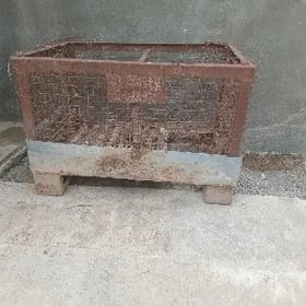 ketek setka