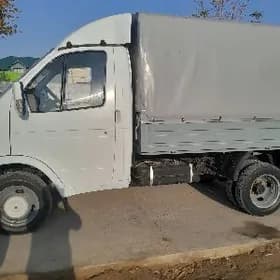 gazel