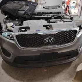 Morda sorento