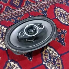 Pioneer