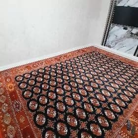 iran haly 3×4