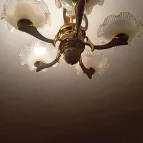liyustra