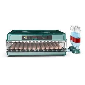 inkubator