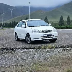 HALIJI COROLLA MORDA