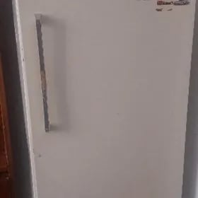 снежика