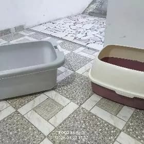 лоток lotok для кошек
