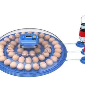 Inkubator