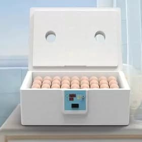 inkubator