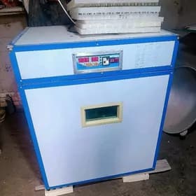 inkobatorinkobator