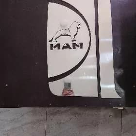 Man nikel