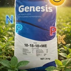 DÖKÜN we DERMAN