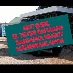 PULPA MITI SEMENT TOPRAK MYTY