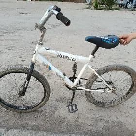 welosapet