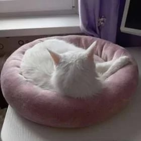 лежанка