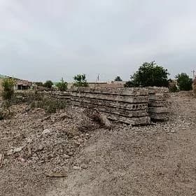 pilite